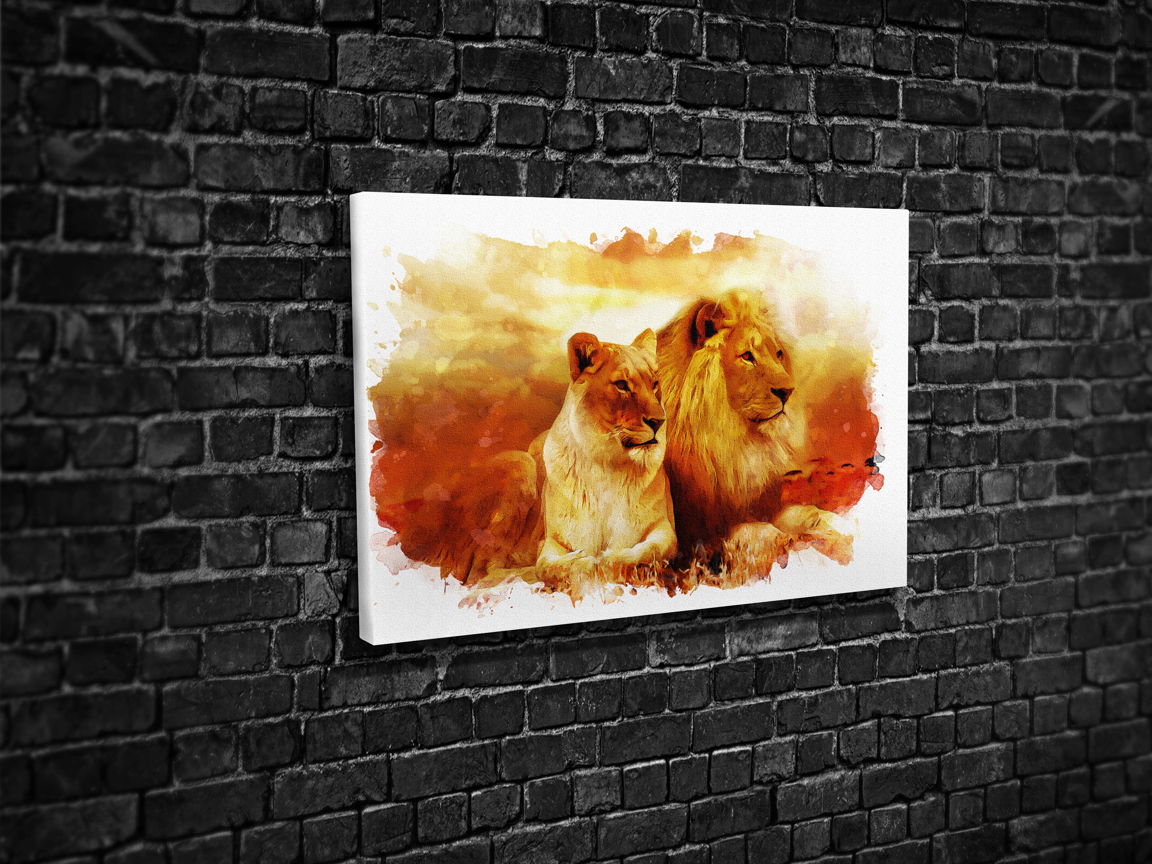 CA2079 ASLAN & DİŞİ ASLAN