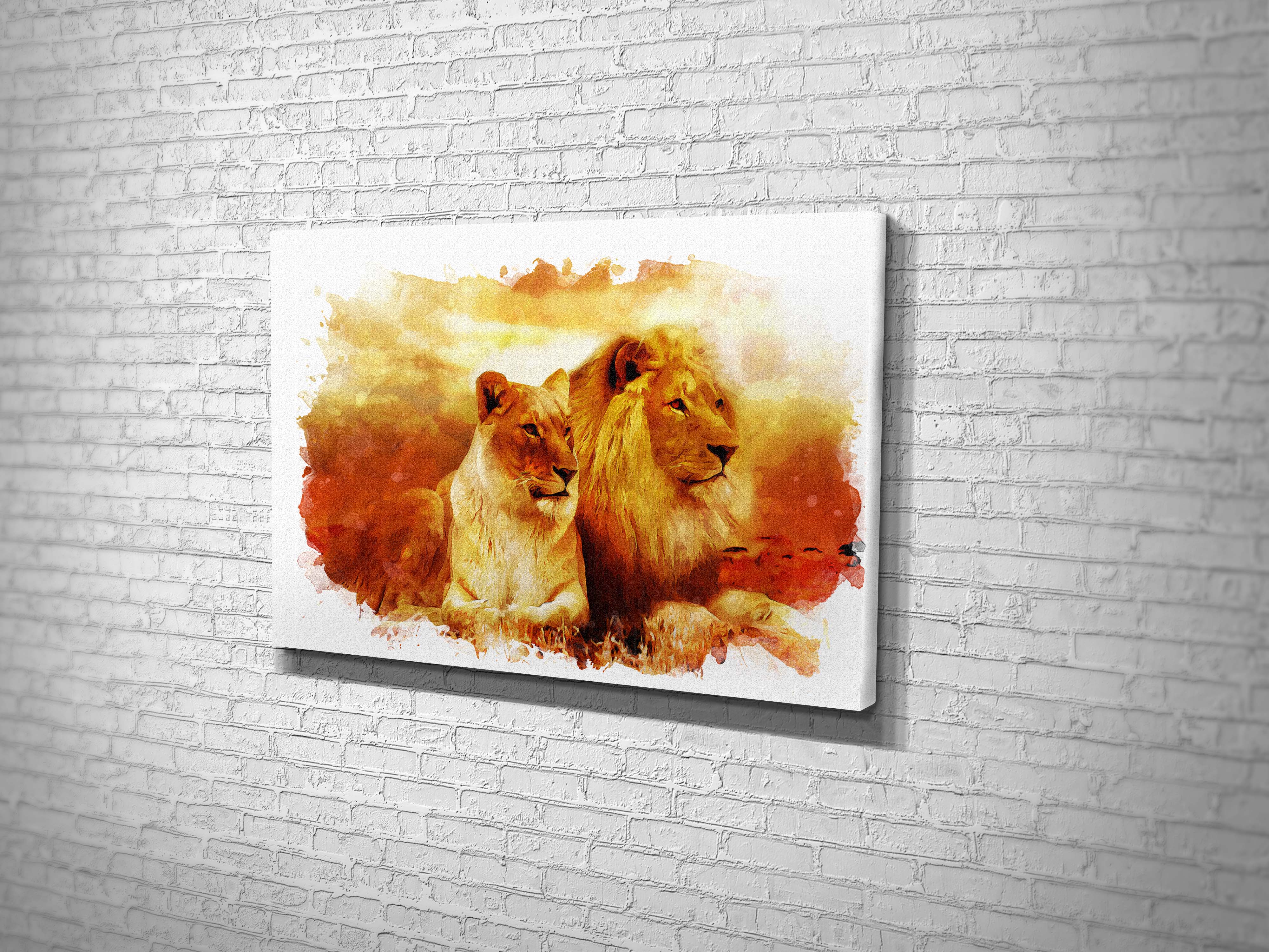 CA2079 ASLAN & DİŞİ ASLAN