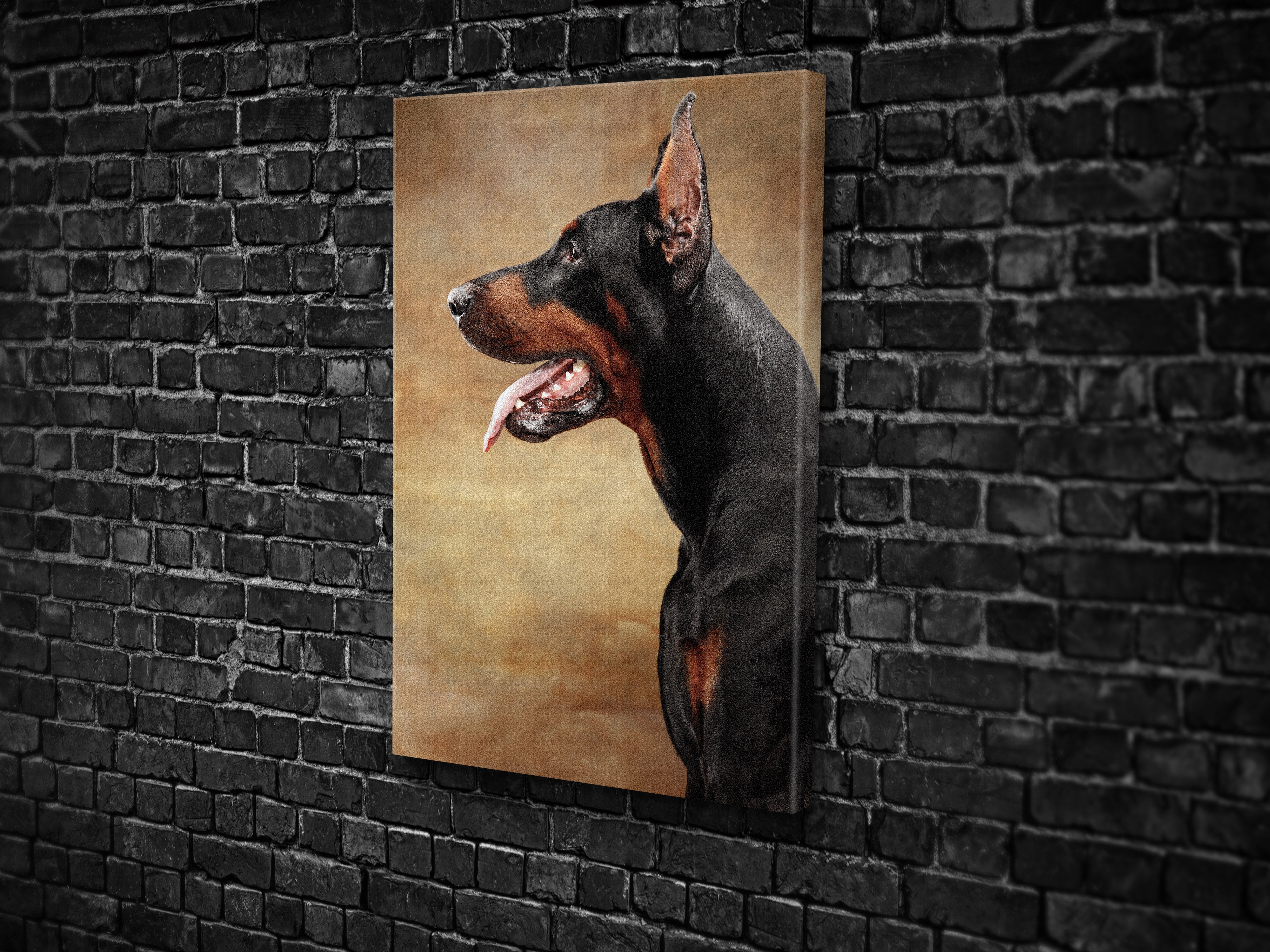 CA1279 DOBERMAN