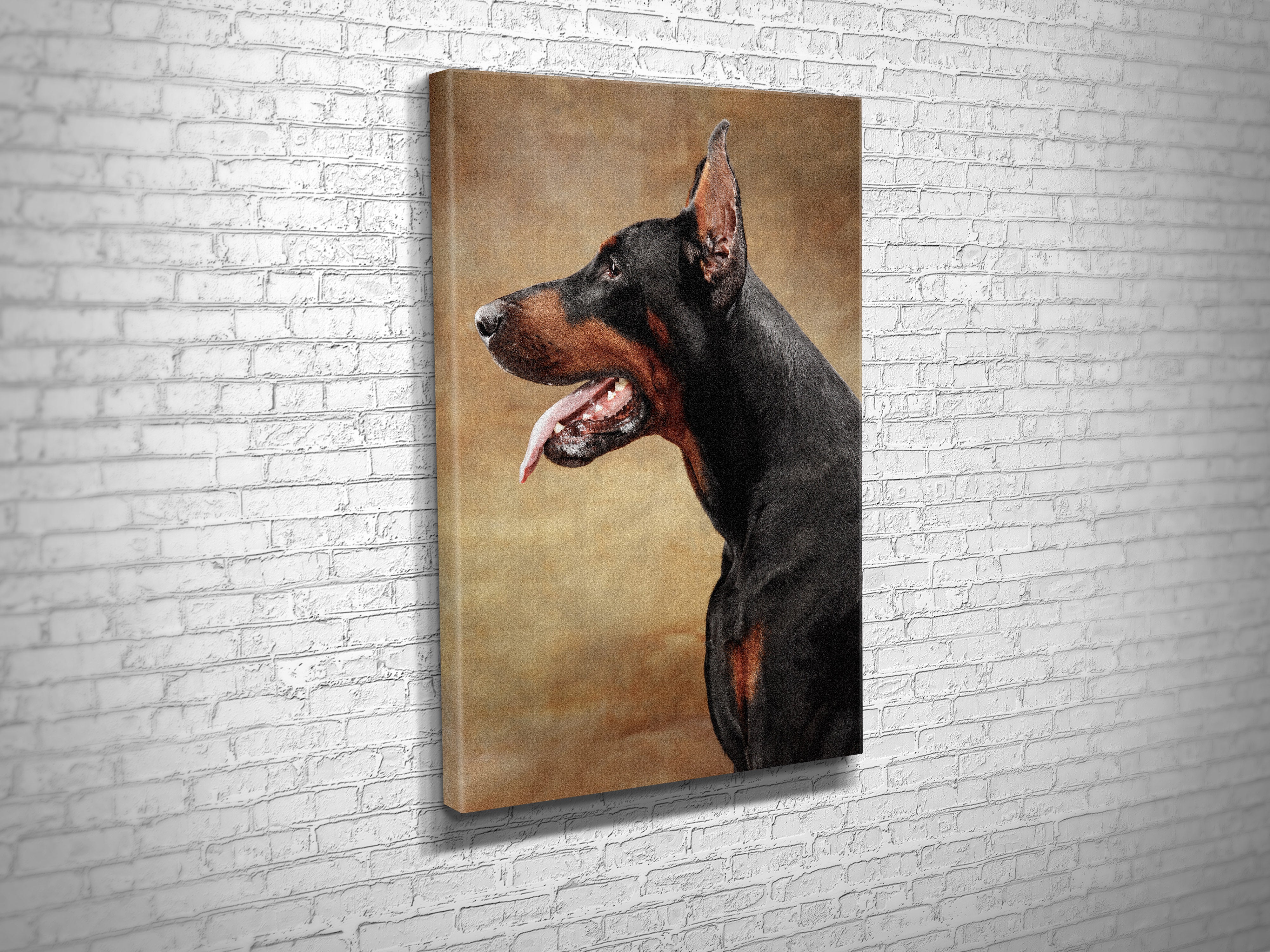 CA1279 DOBERMAN