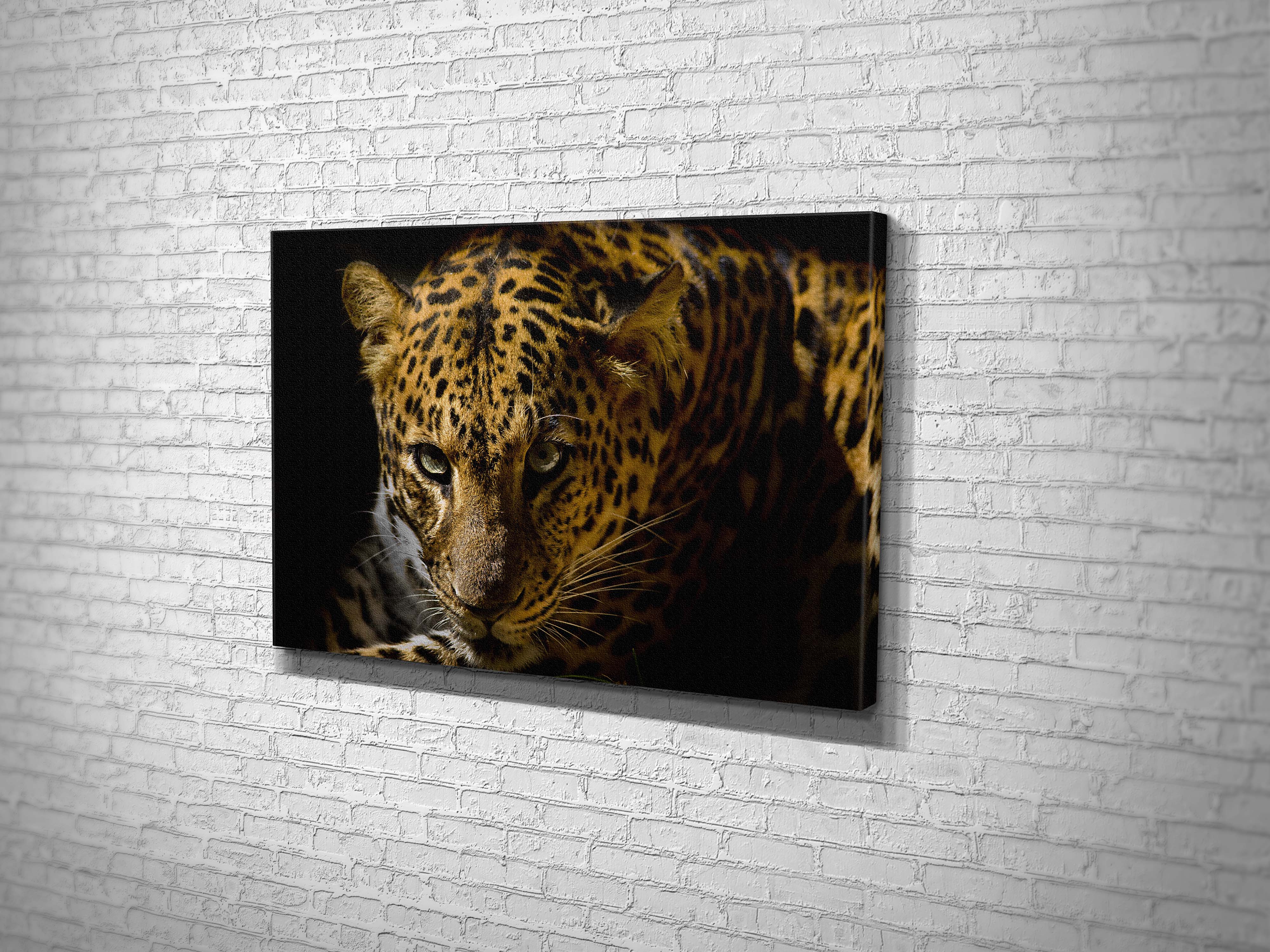 CA2134 LEOPAR