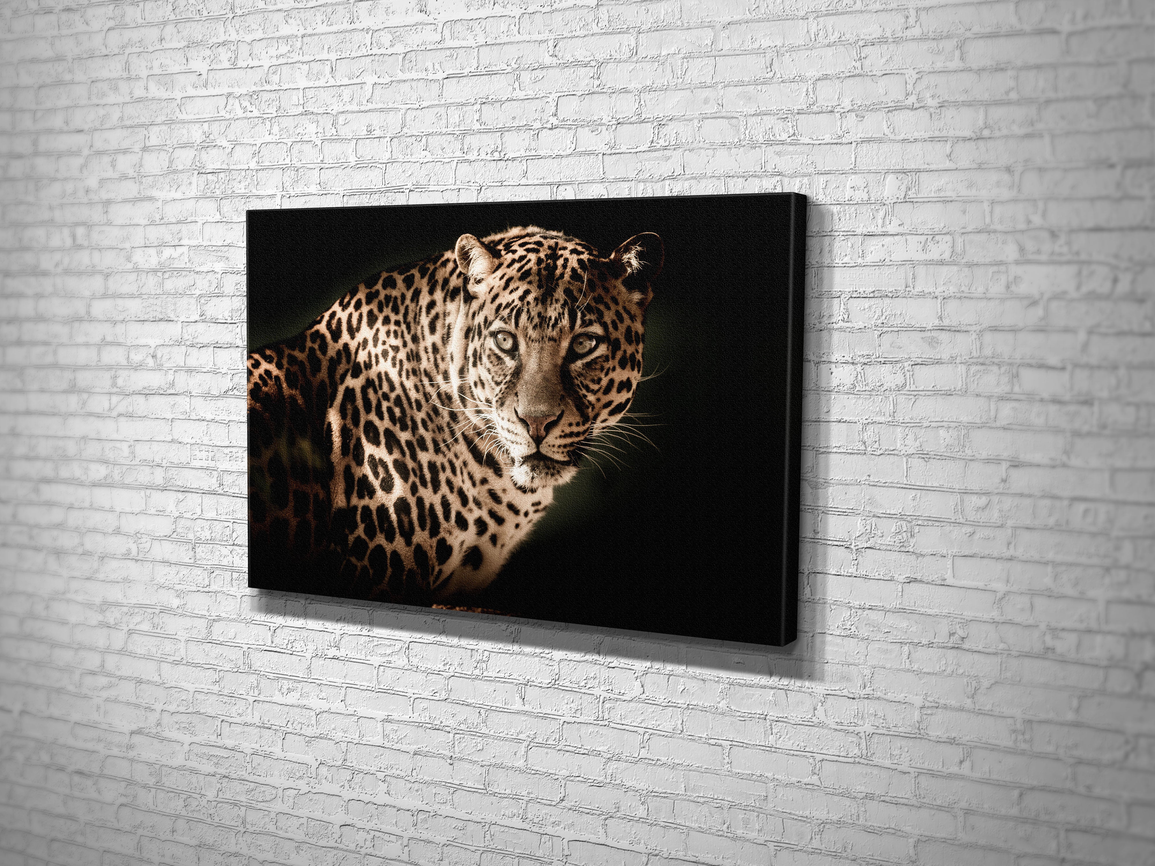 CA1209 LEOPAR