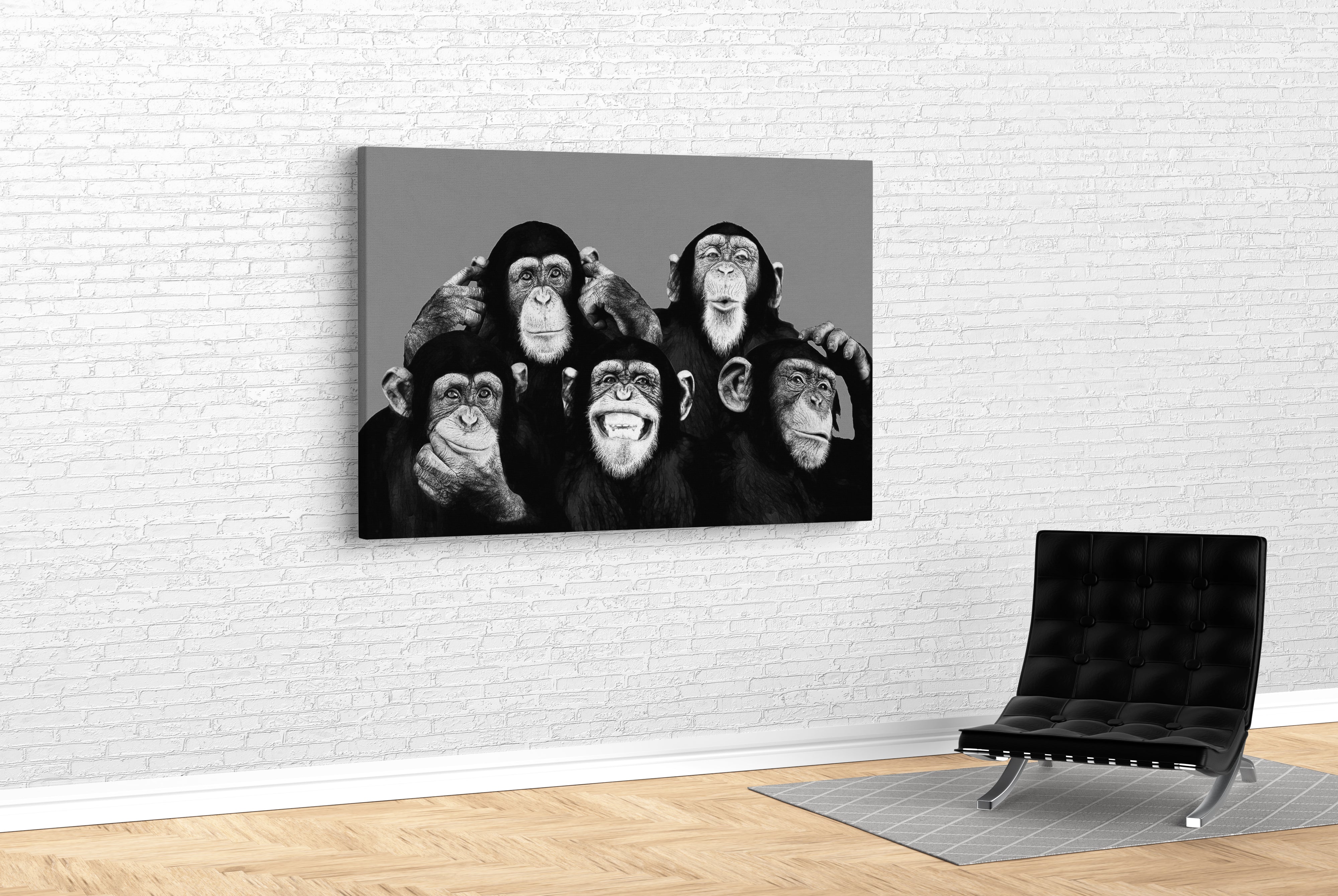 CA2223 MONKEY CHIMPS FAMILY SELFIE