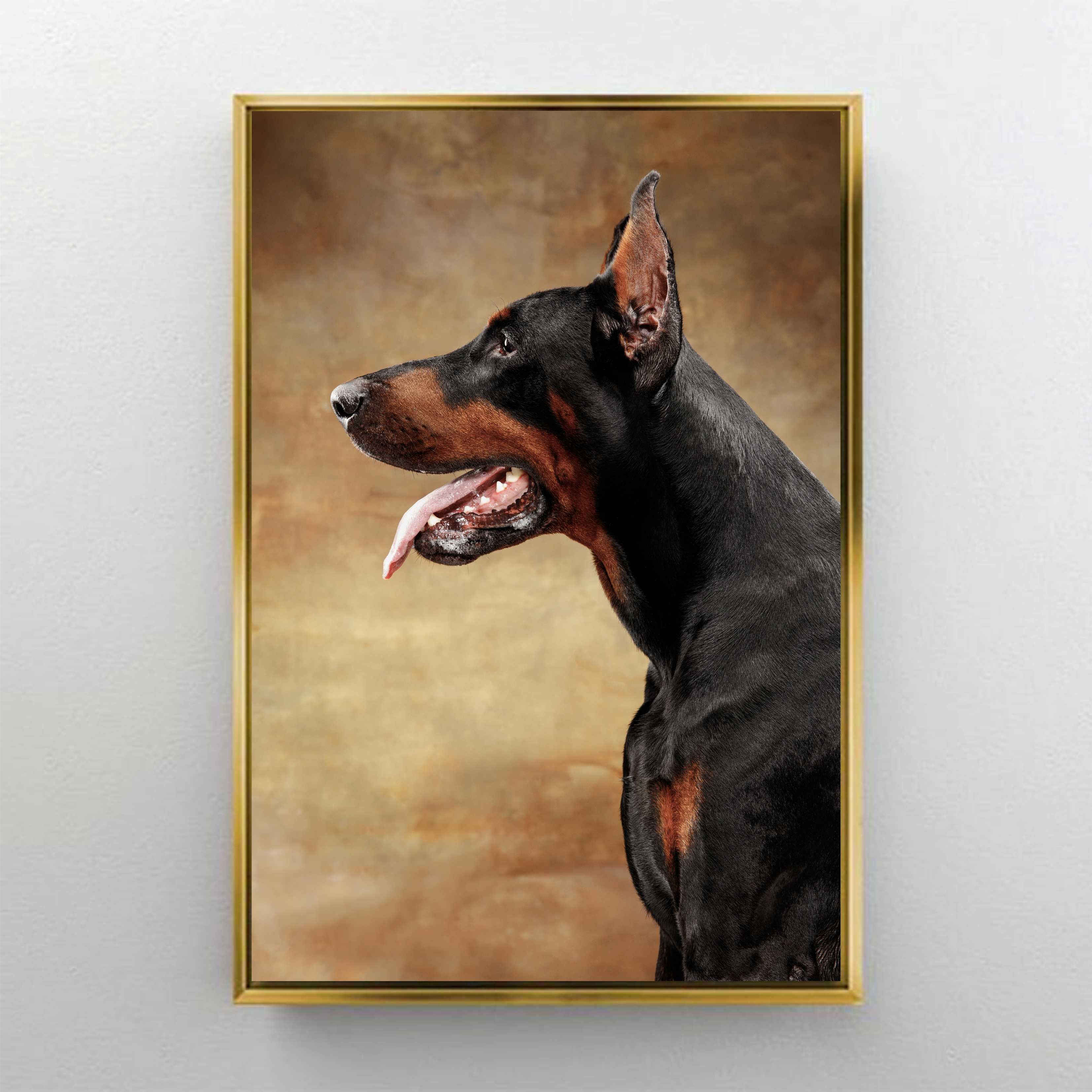 CA1279 DOBERMAN