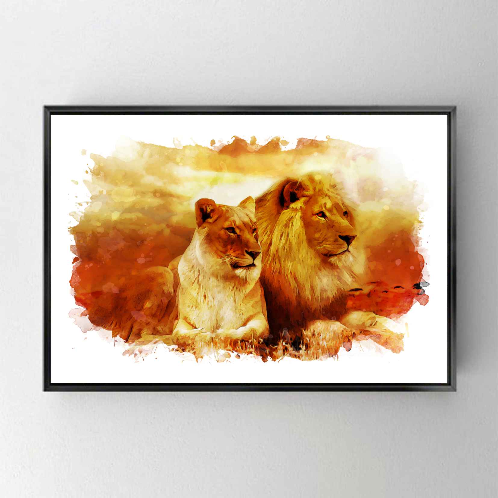 CA2079 ASLAN & DİŞİ ASLAN
