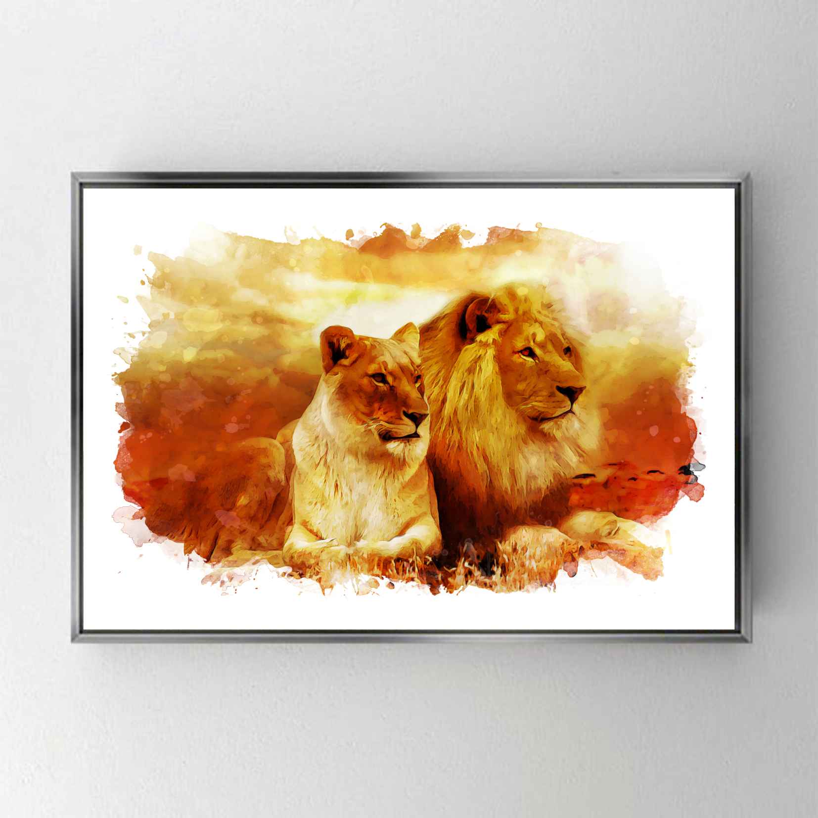 CA2079 ASLAN & DİŞİ ASLAN