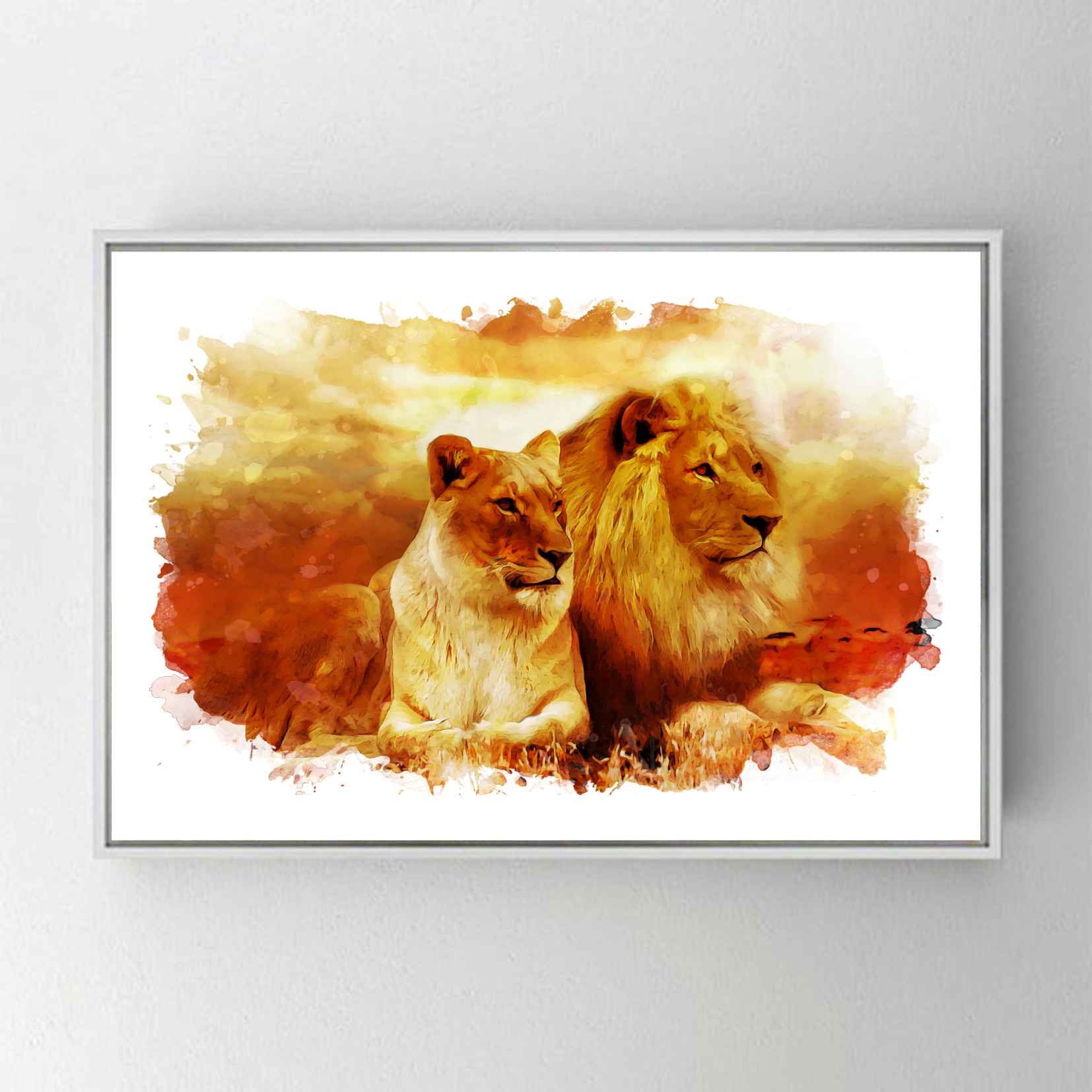 CA2079 ASLAN & DİŞİ ASLAN