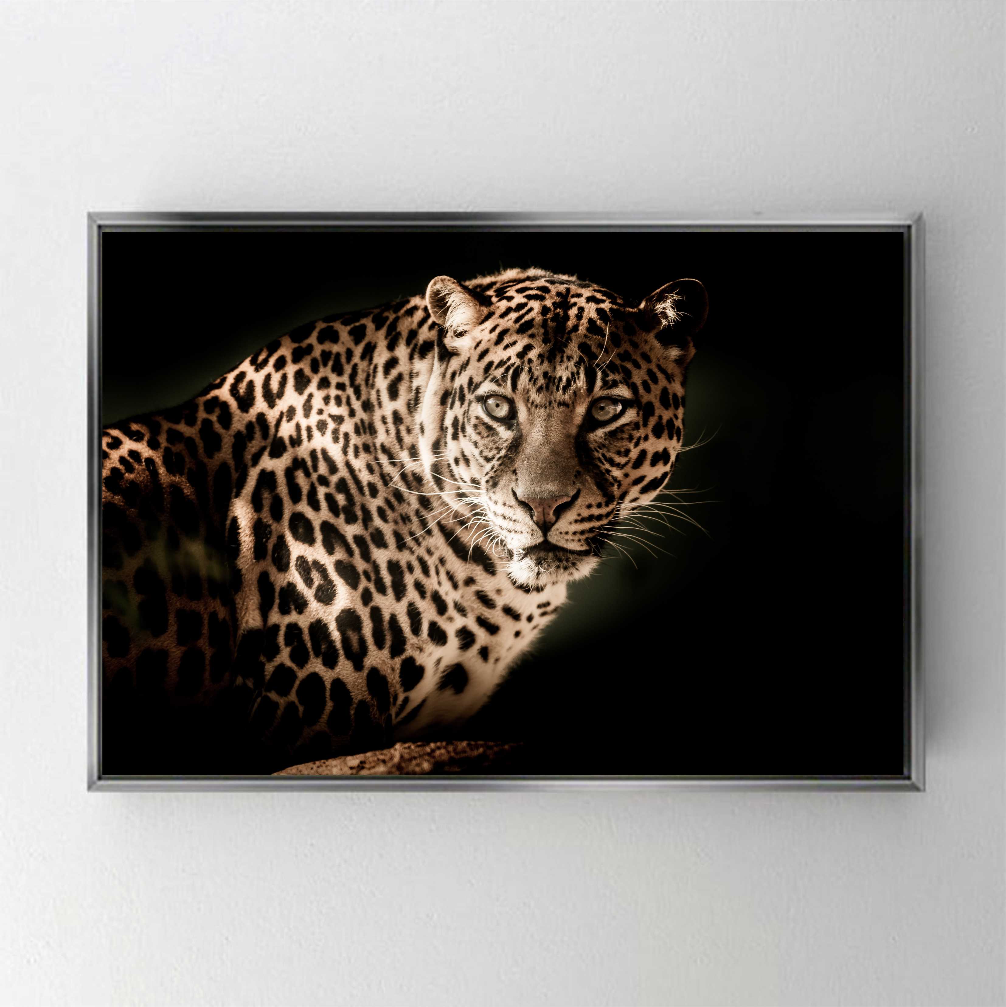 CA1209 LEOPAR