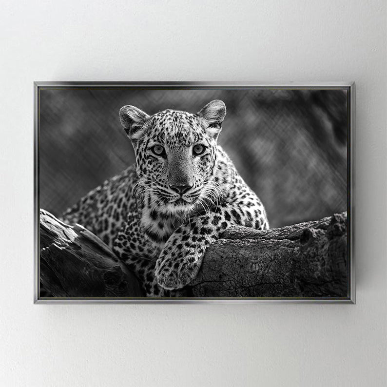 CA743 LEOPAR