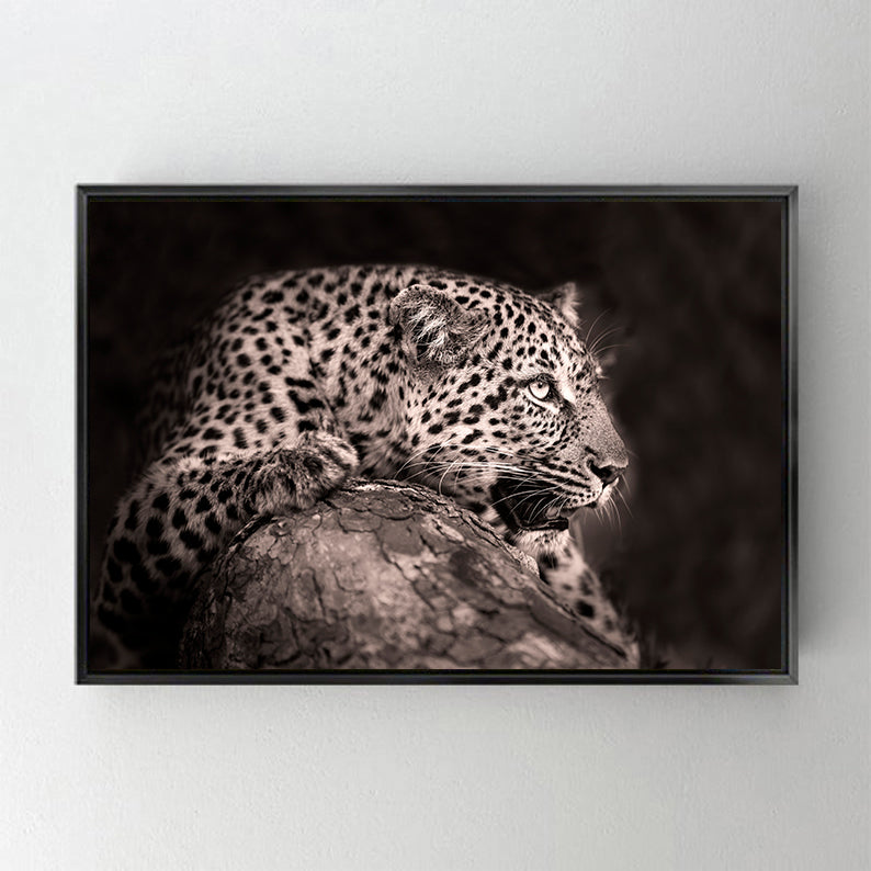 CA764 LEOPAR