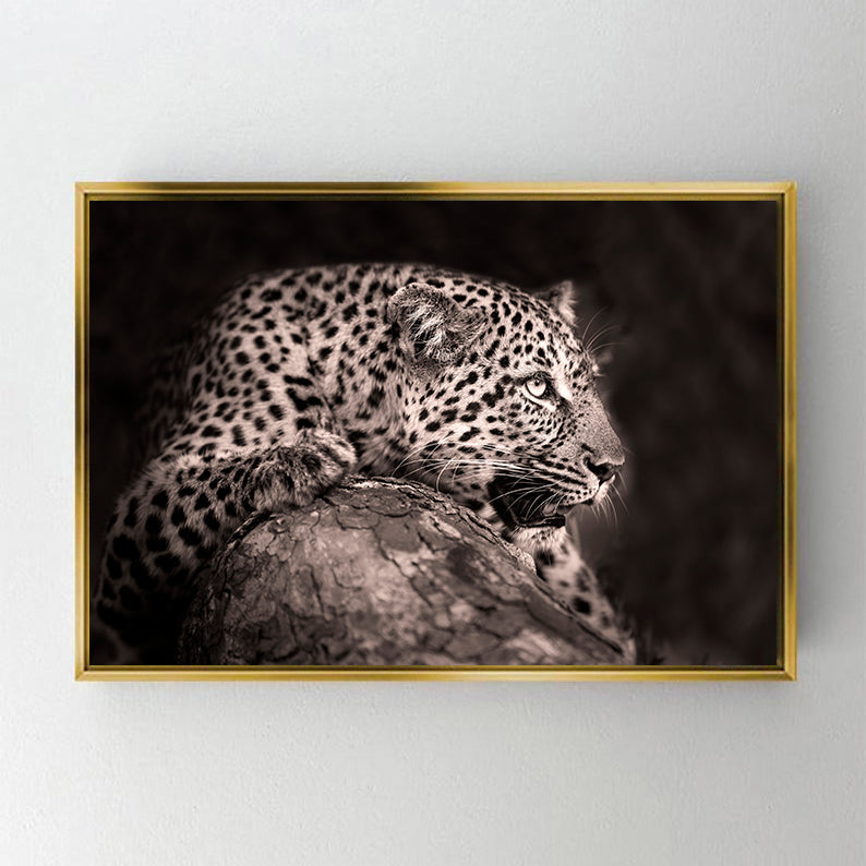 CA764 LEOPAR